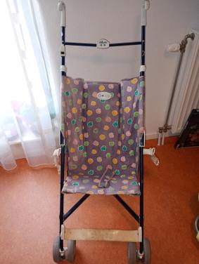 Buggy wagen voor kleuters en kinderen