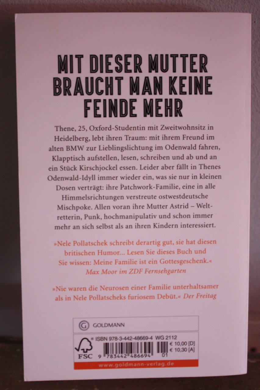 Nele pollatschek- das ungluck anderer leute  duits boek