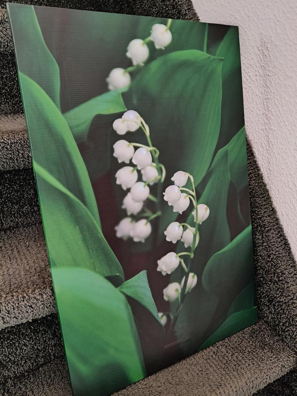 Canvas met LED