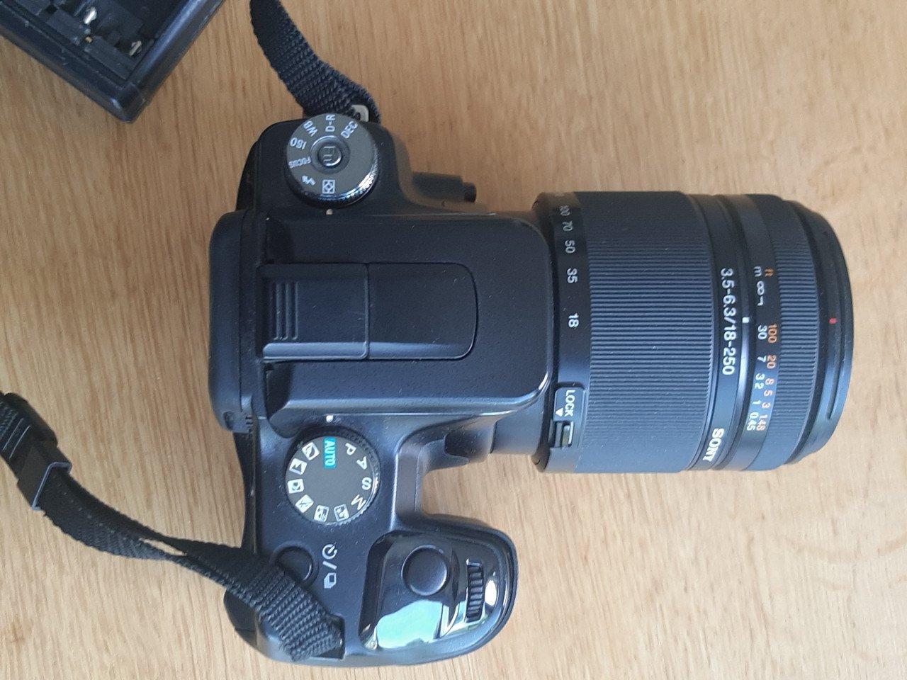 Sony A100 met Sony 18-250 mm lens