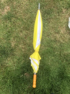 Paraplu