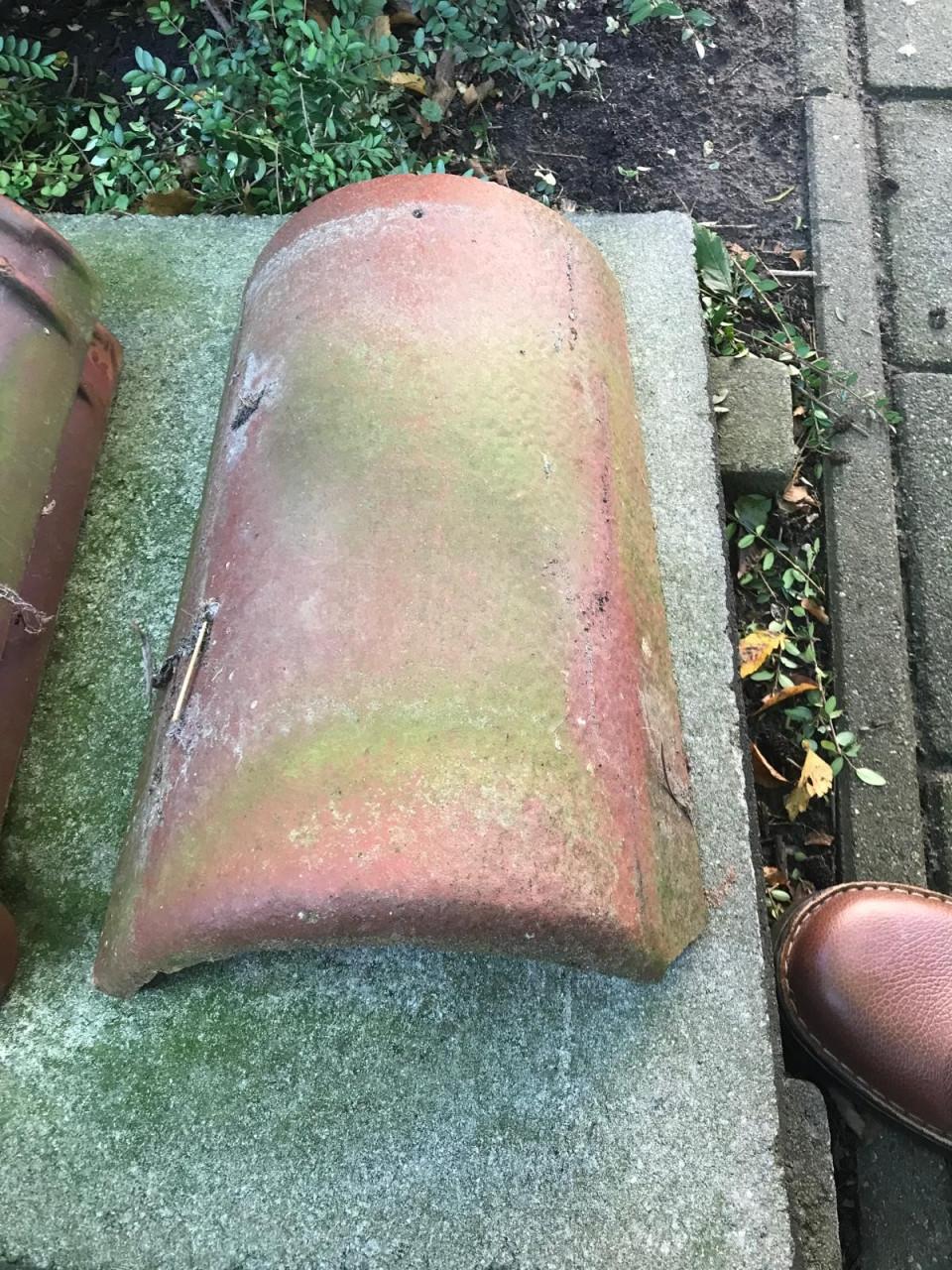 Nokvorsten (diverse types)