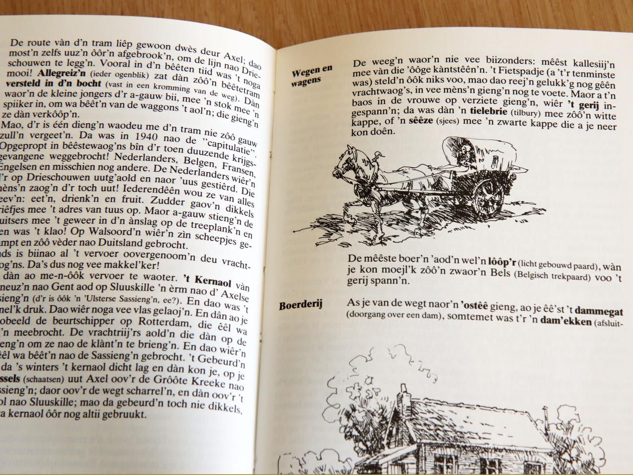 Dialect in het land van Axel