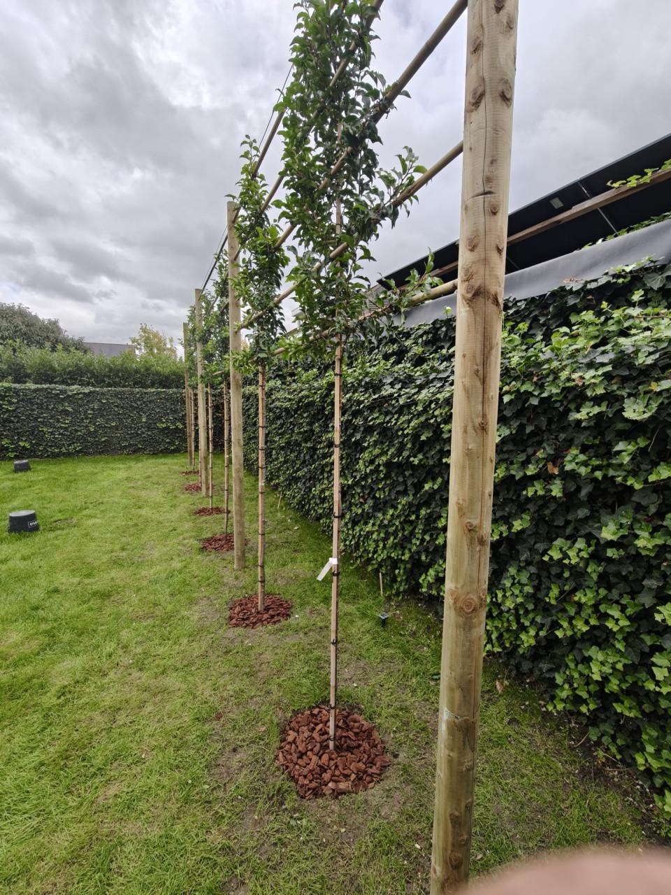 Tuinaanleg • Onderhoud • Bestrating • Schuttingen