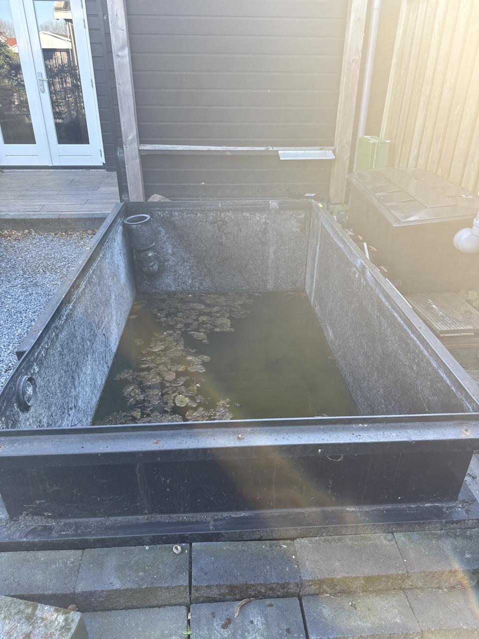 Vijver gratis afhalen