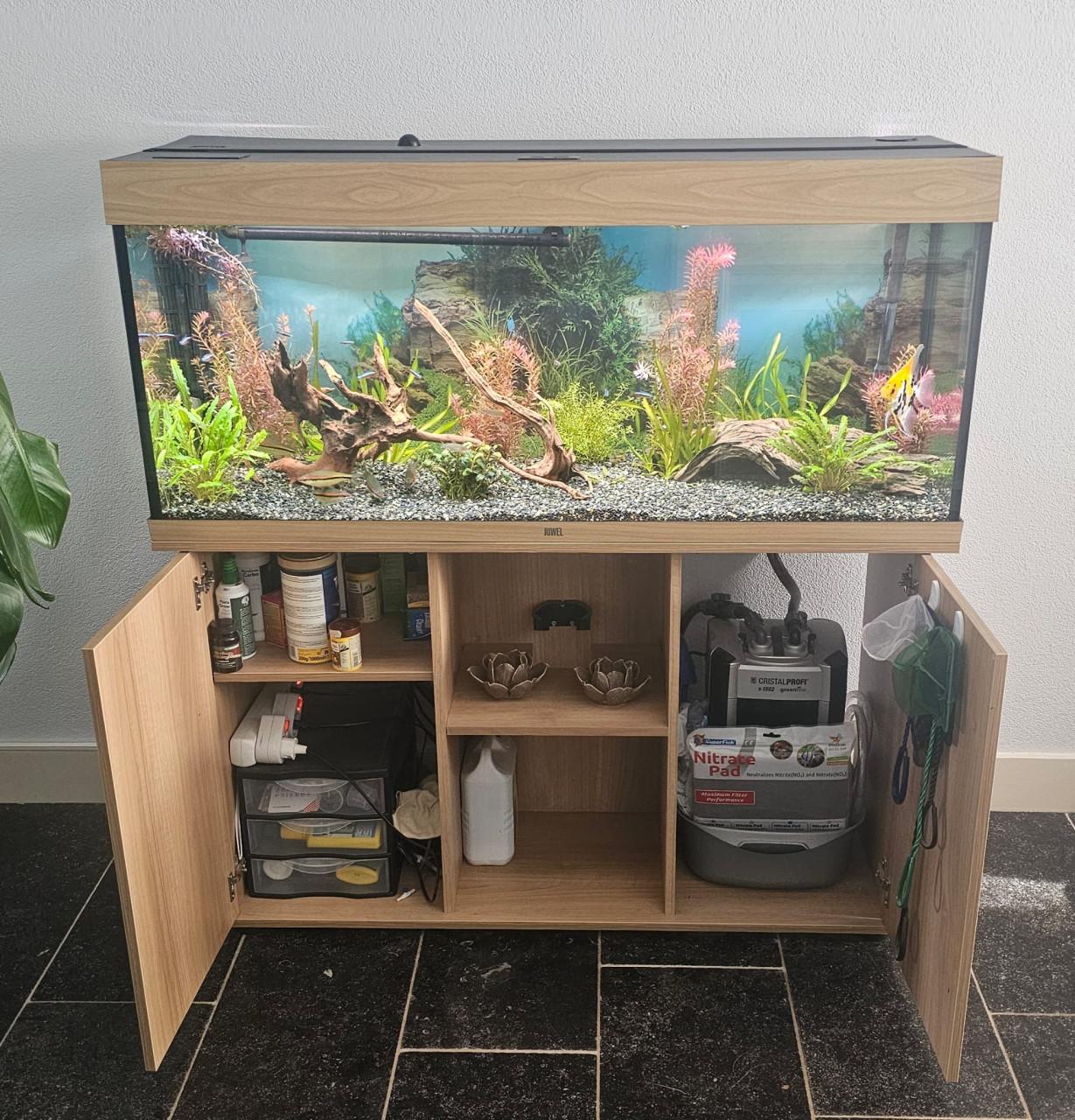 Compleet Juwel Rio 240 Aquarium