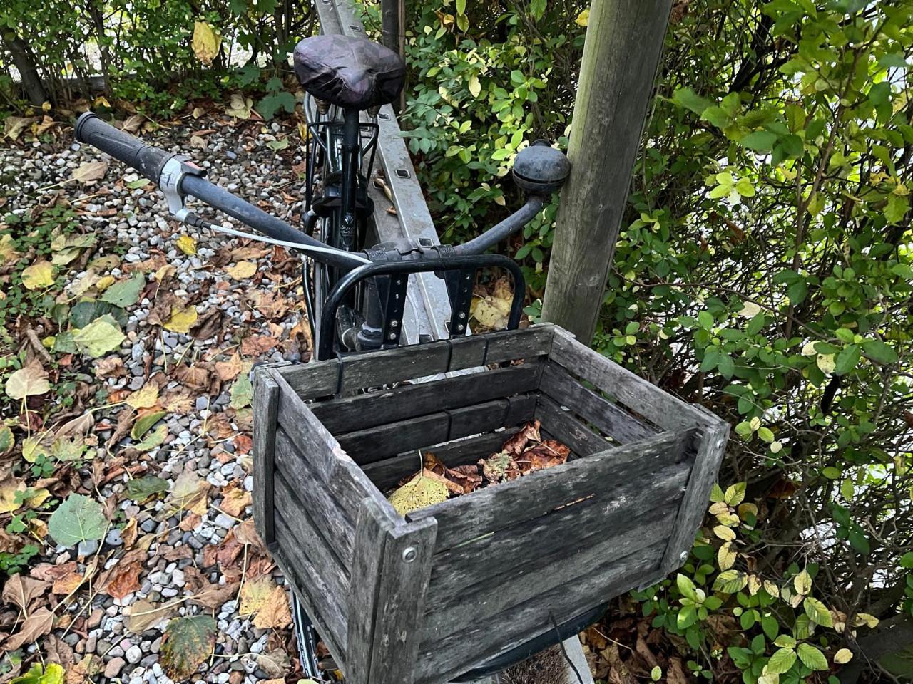 Sparta Bulk Bullet damesfiets met transportkist