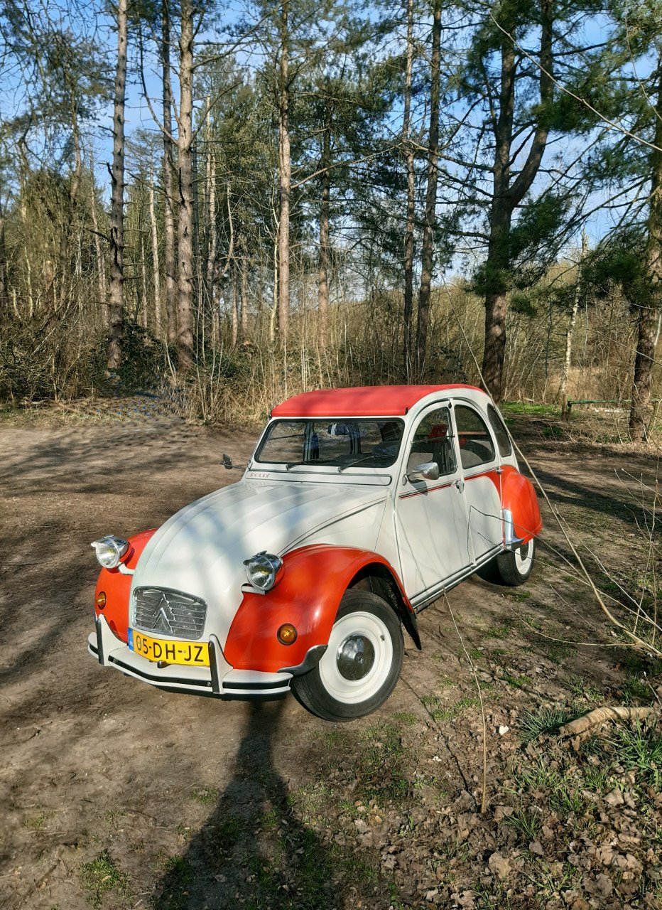 2cv6