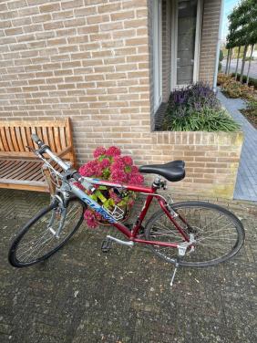 Mountainbike heren