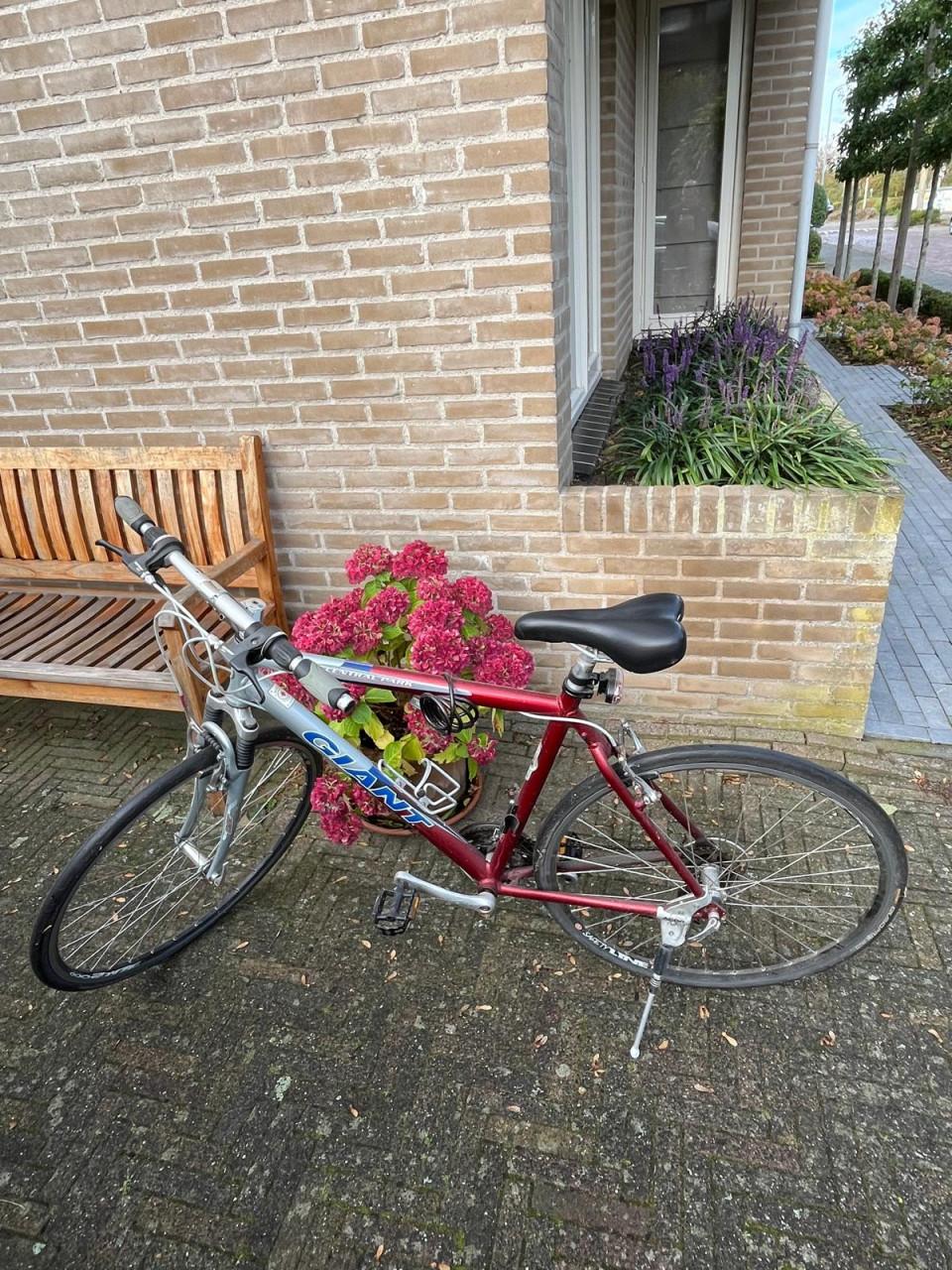 Mountainbike heren