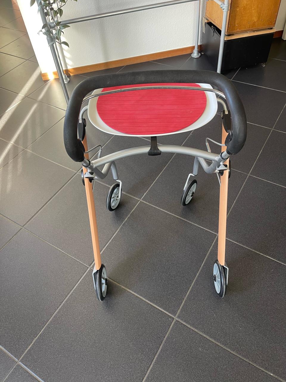 Binnenrollator trust care lets go indoor