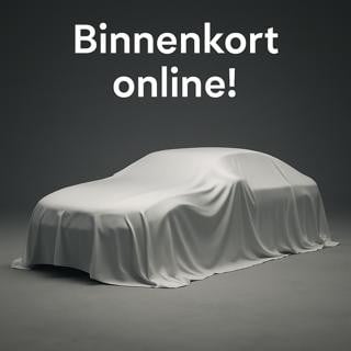 BMW X1 sdrive18i executive | navigatie | leder | 19" velg | trekhaak | elek