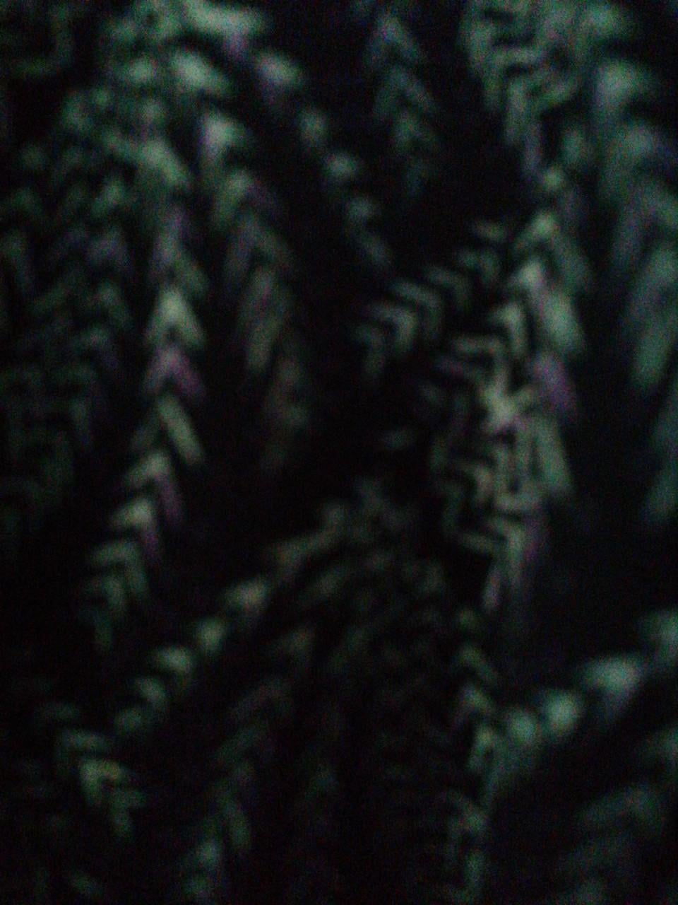 Damesjurk xl Loavies