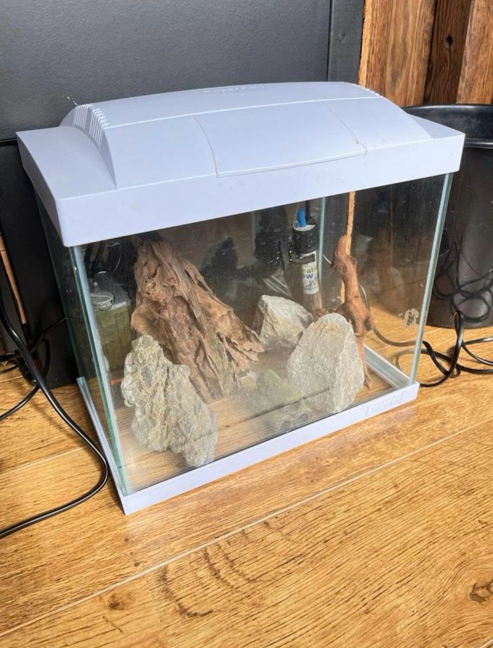 Aquarium klein wit