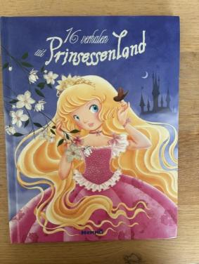 Voorleesboek 16 verhalen uit Prinsessenland - Mireille Saver