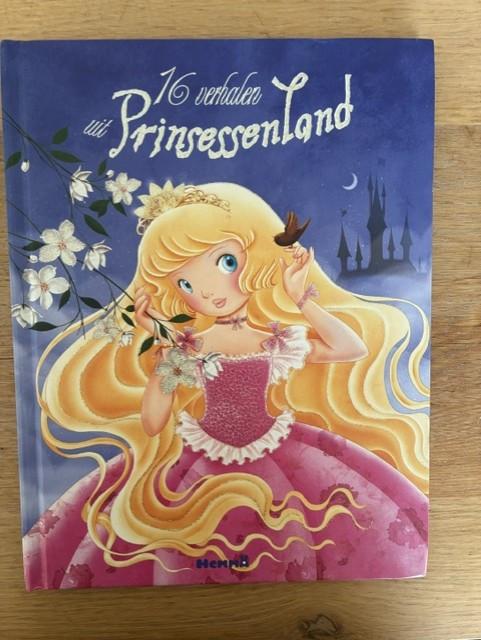 Voorleesboek 16 verhalen uit Prinsessenland - Mireille Saver