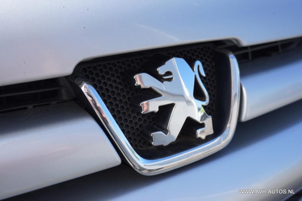Peugeot 206 cc 1.6-16v quiksilver
