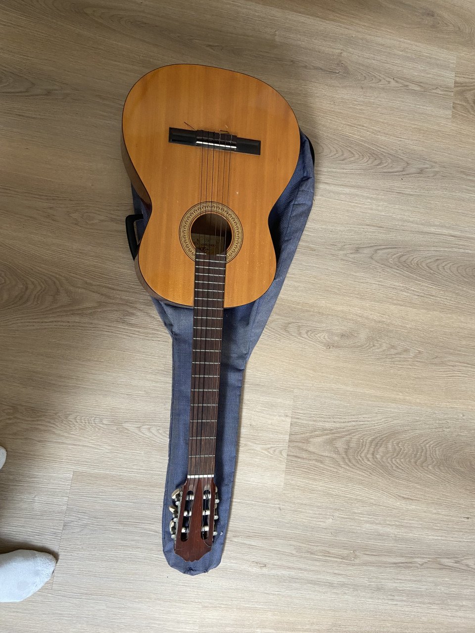Snaarinstrument