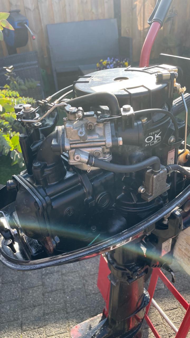 Mercury 5 pk  kortstaart