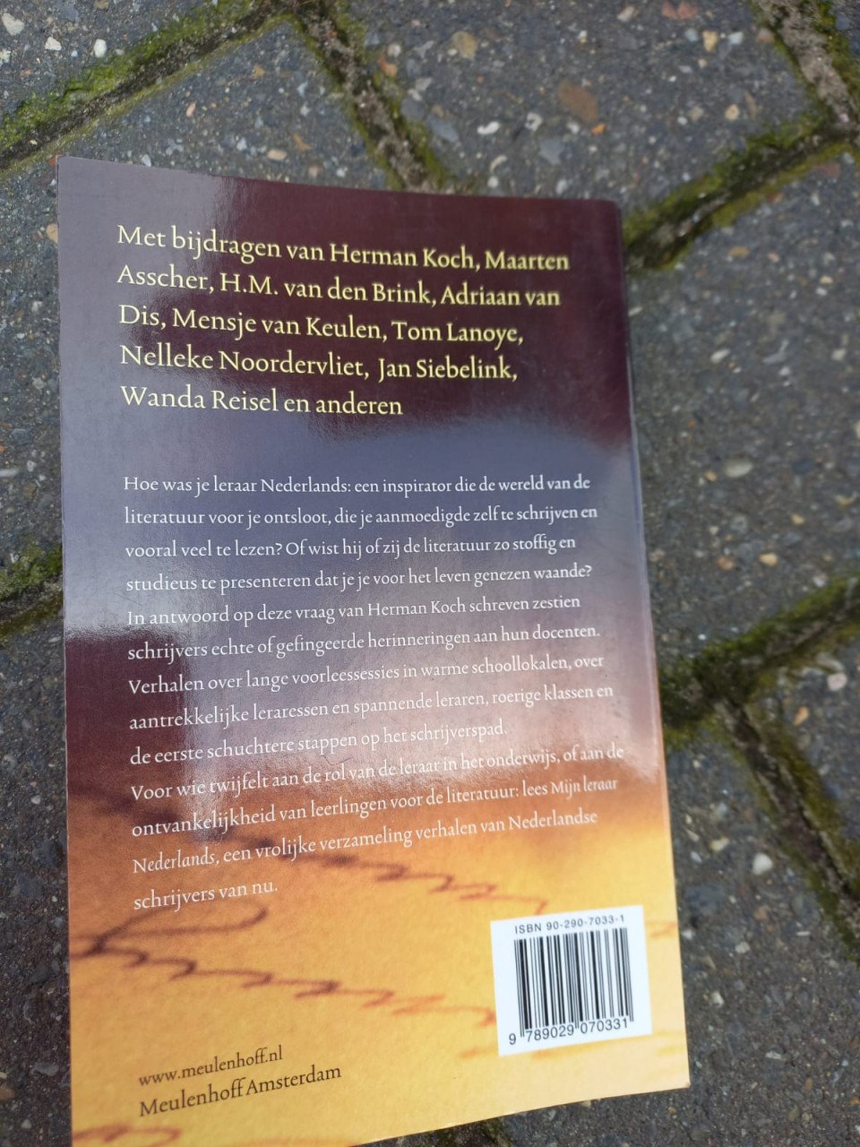 Mijn leraar Nederlands