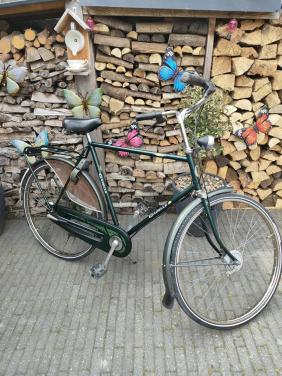 Gazelle primeur heren 61 cm 3 versnellingen