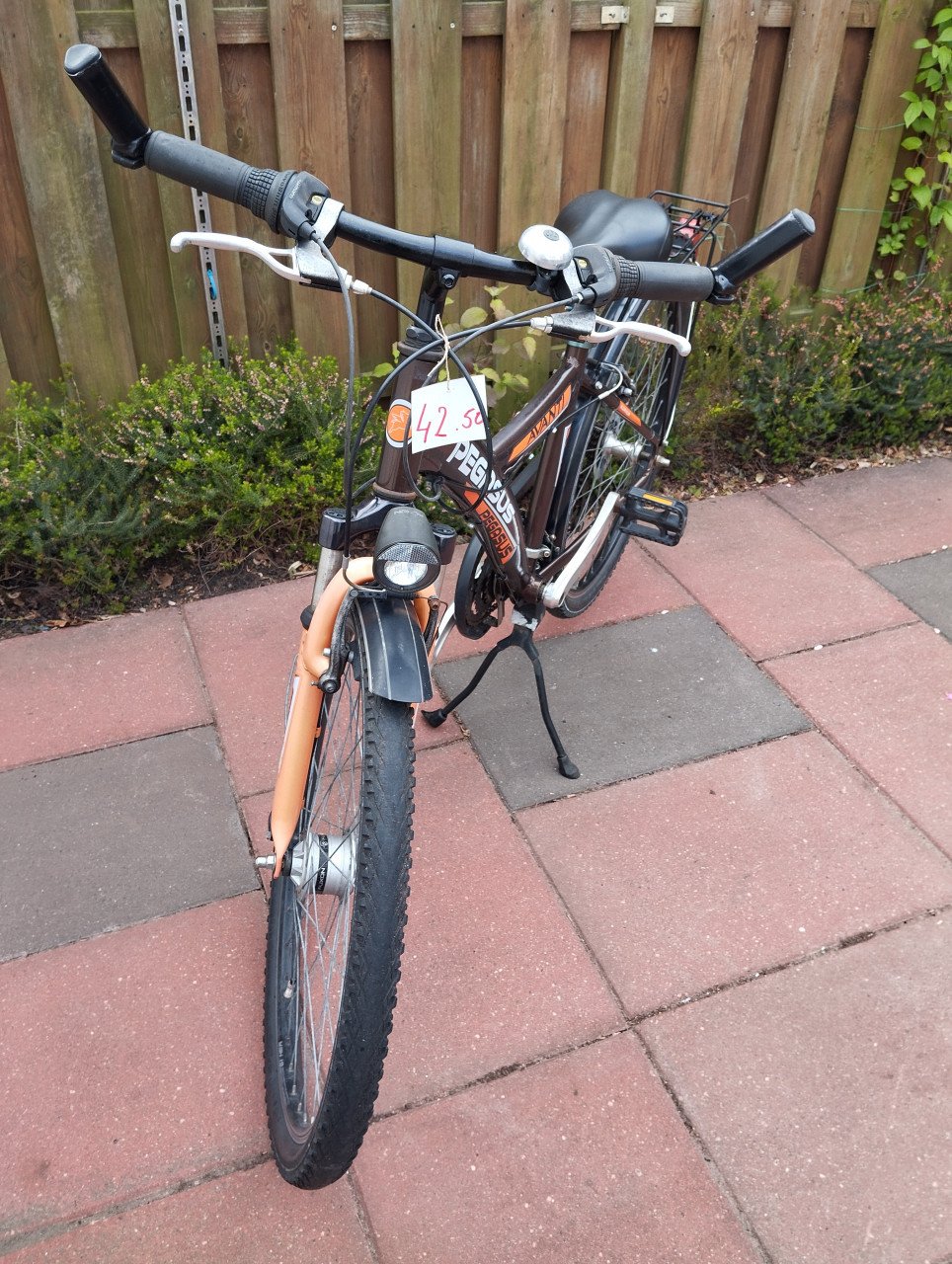 PEGASUS AVANTI 26 inch