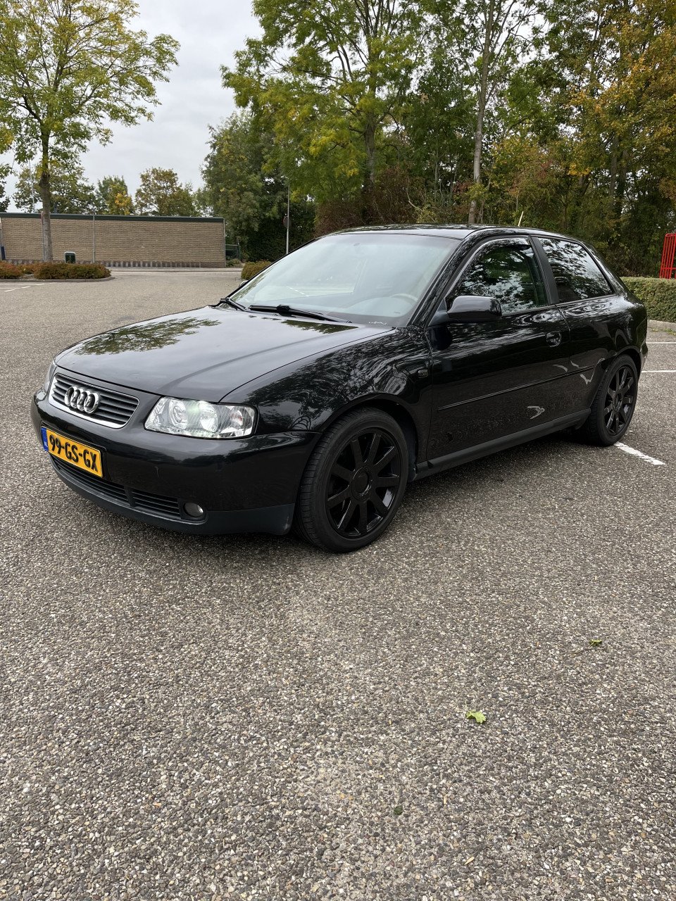 Goed onderhouden Audi A3 8L 2001