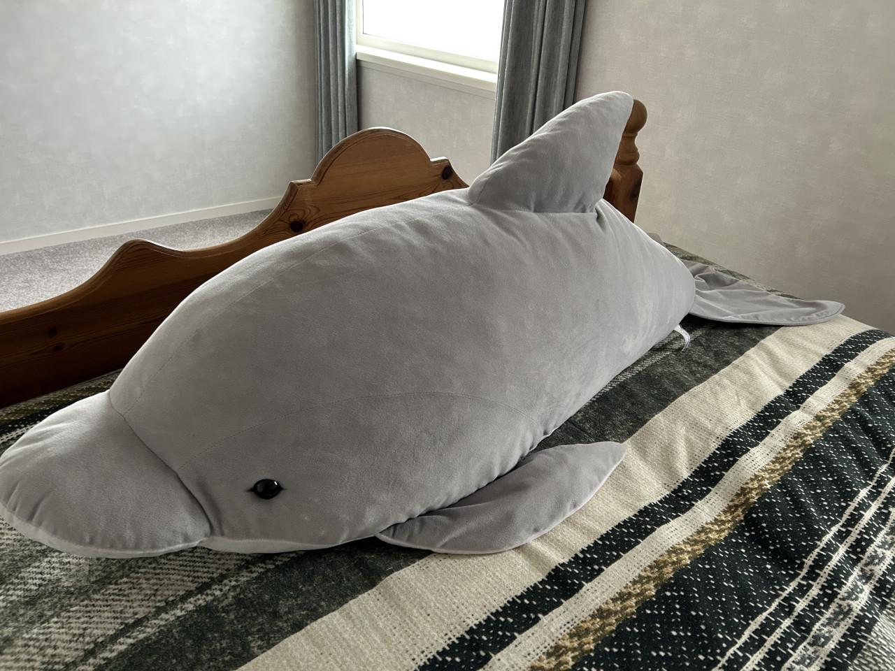 Super grote DOLFIJN knuffel.