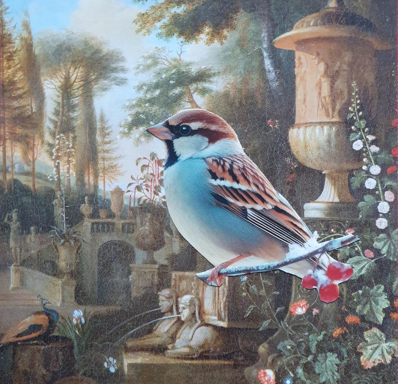 Workshop collagekunst