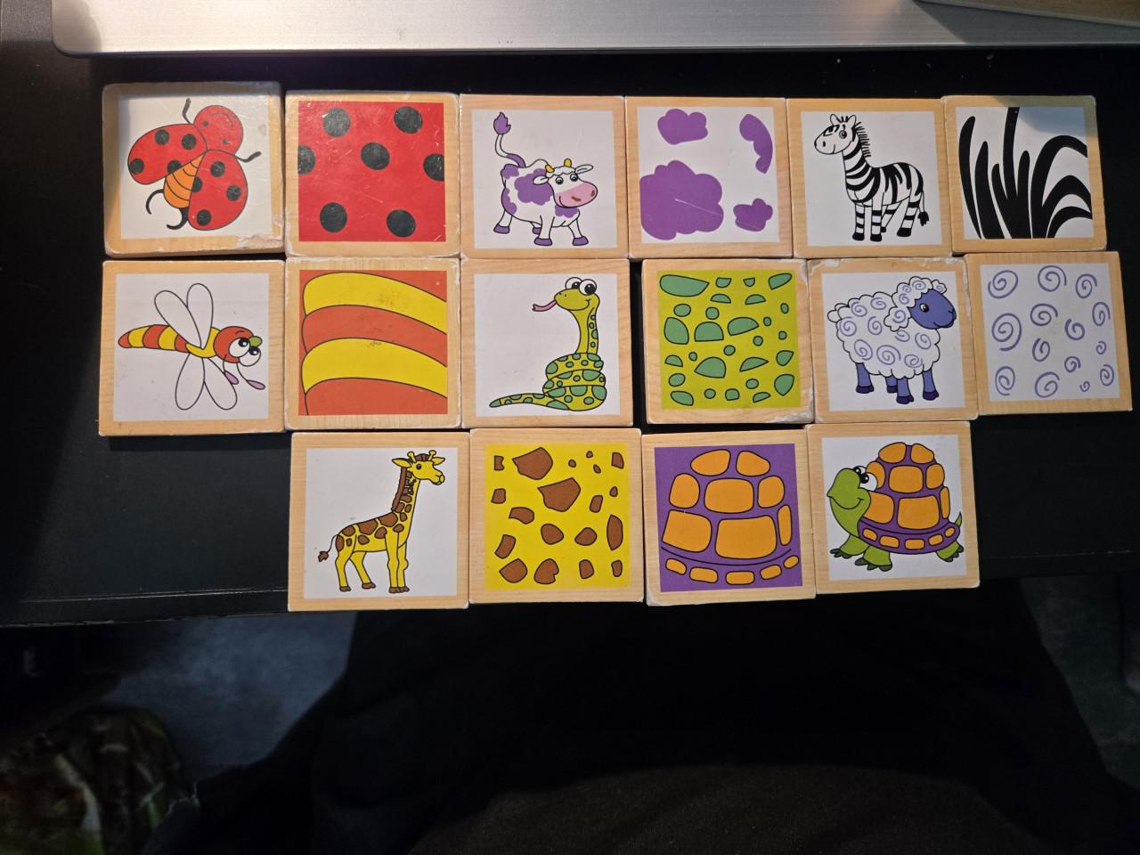 Topbright Toys Houten Memo - Dier en Huid