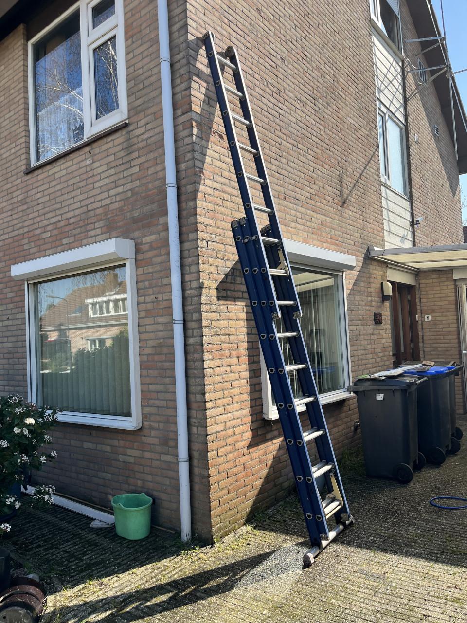 Ladder altrex 3x 10