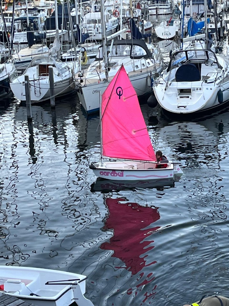 Optimist