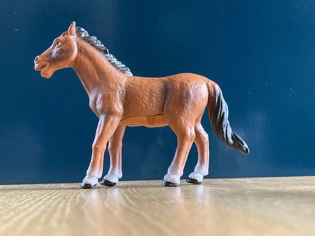 Paard en Koe