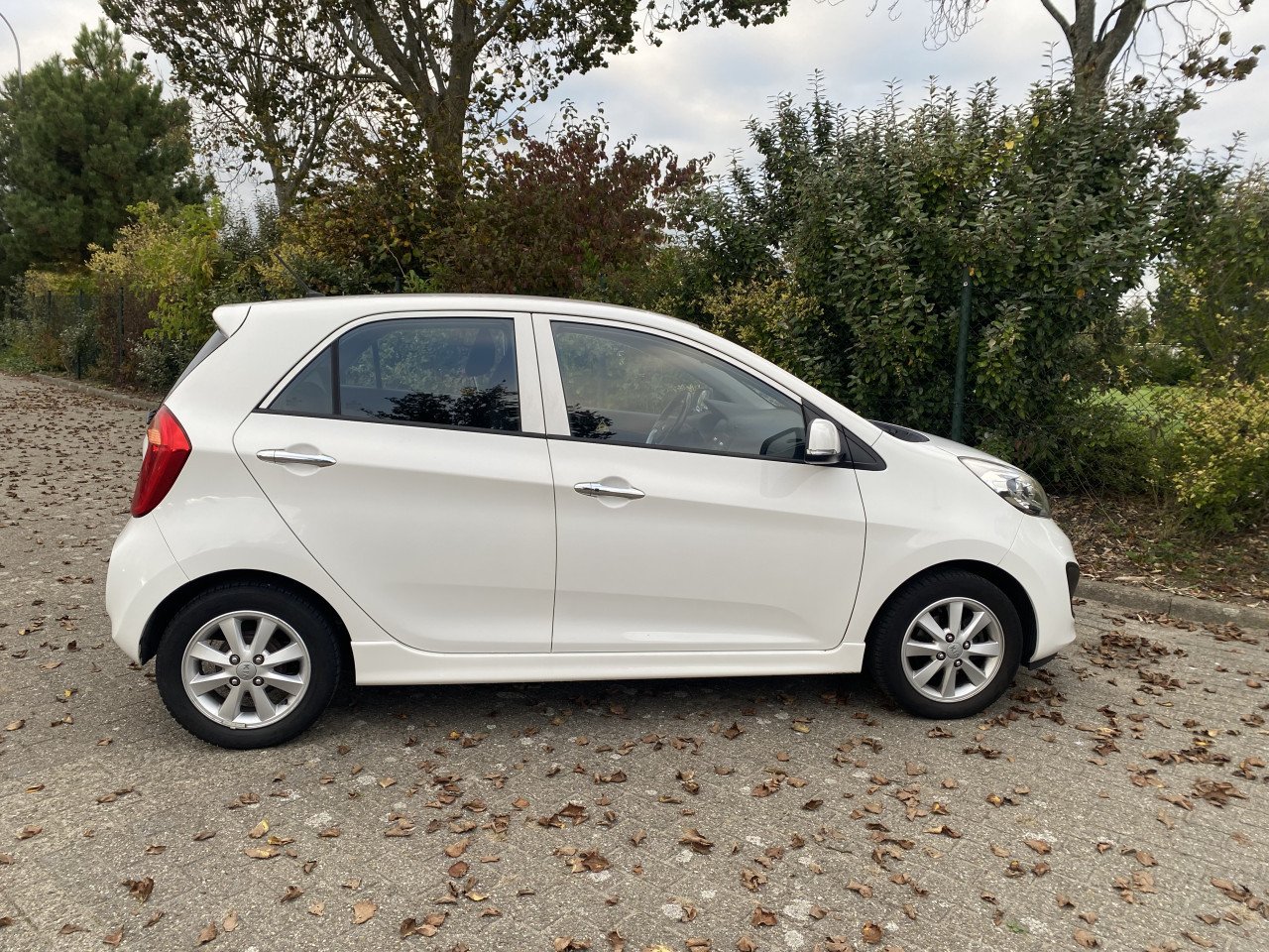 Te koop Kia Picanto
