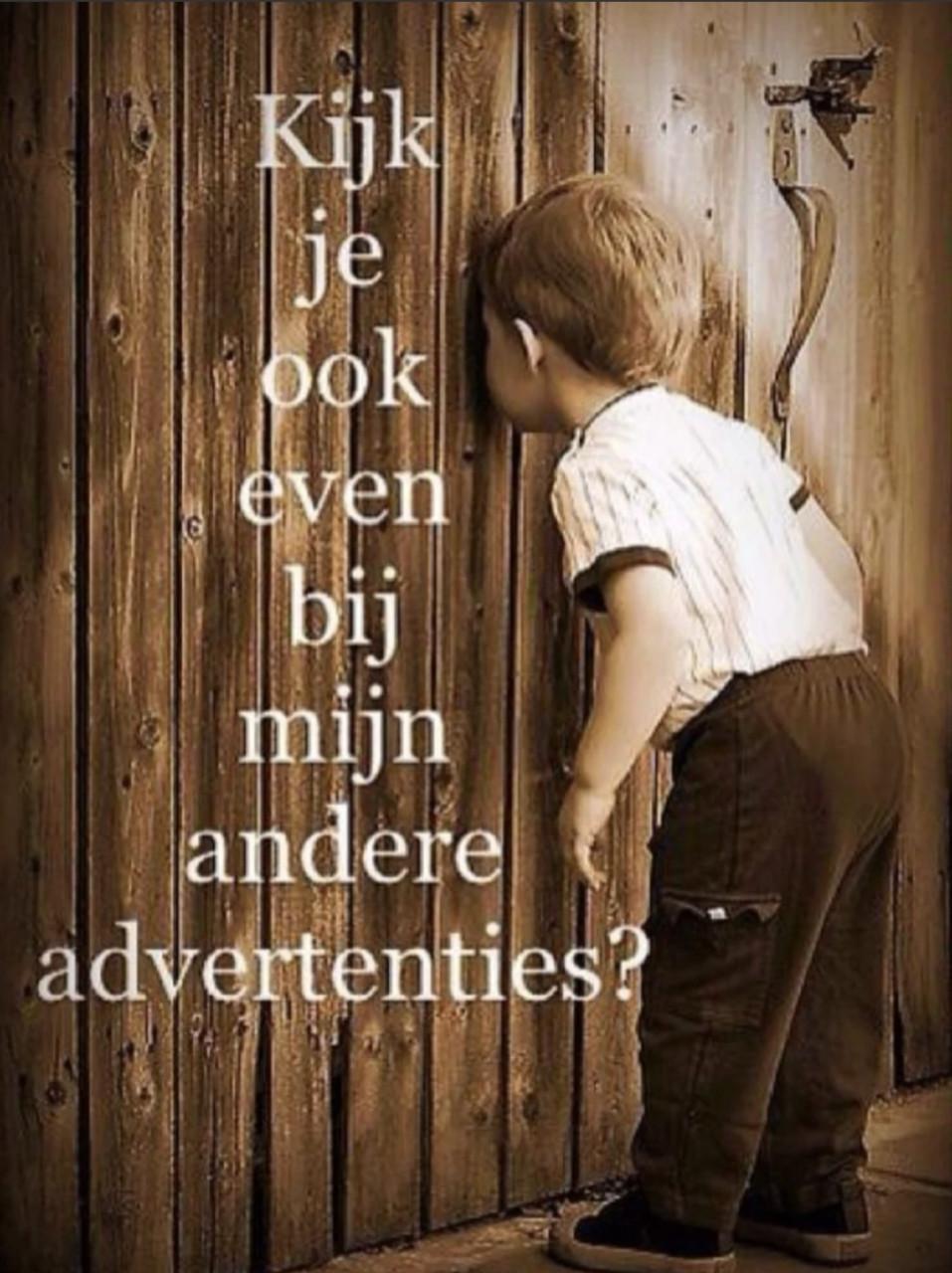 Fiets te koop.