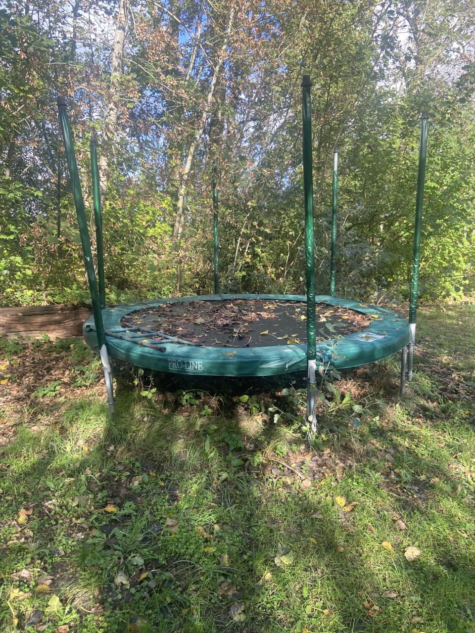 Trampoline diameter 3 meter met veiligheidsnet