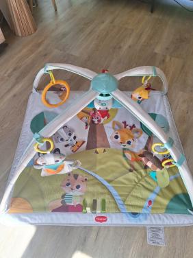 Baby gym