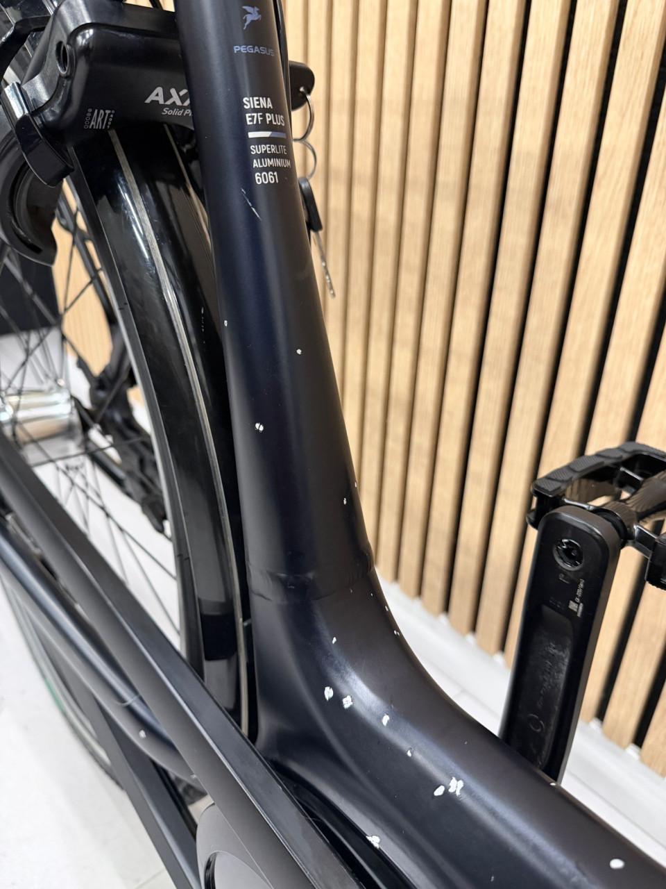 Pegasus Siena E7F Bosch Active Line Plus 50CM 400Wh 8873KM