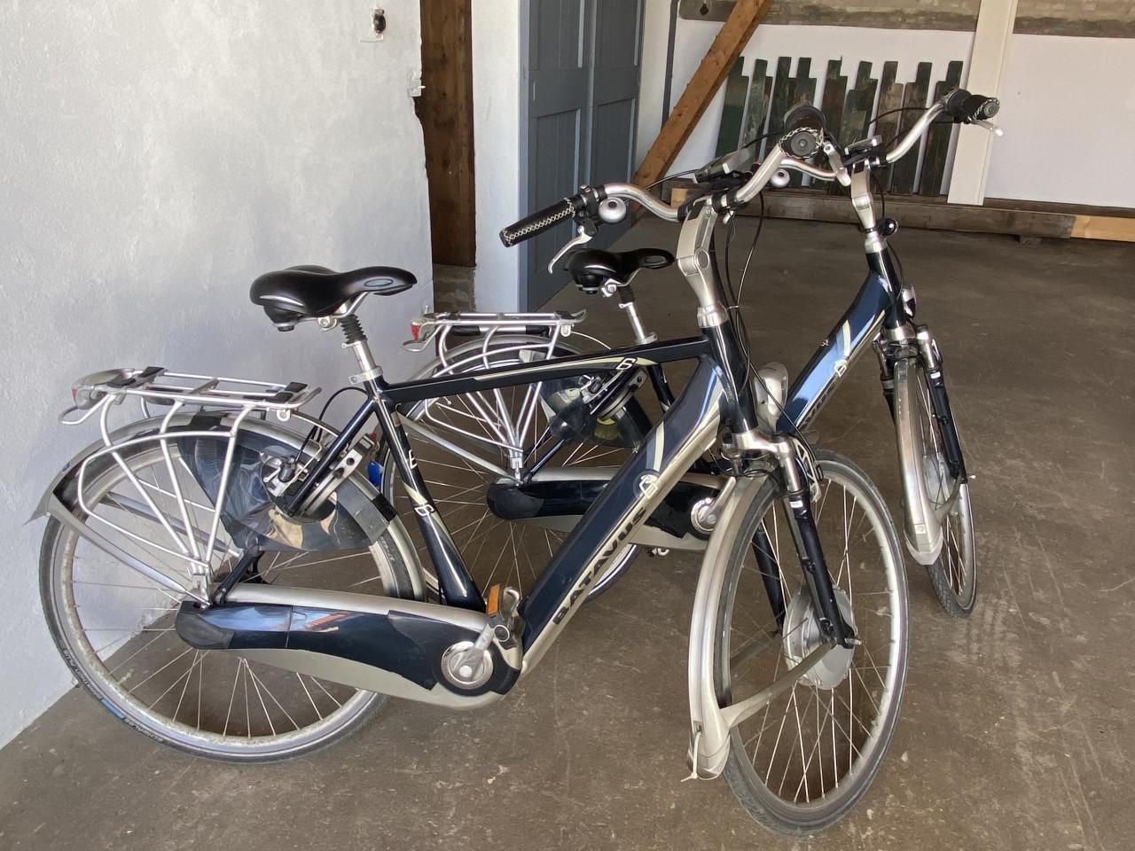 Elektrische fietsen Batavus