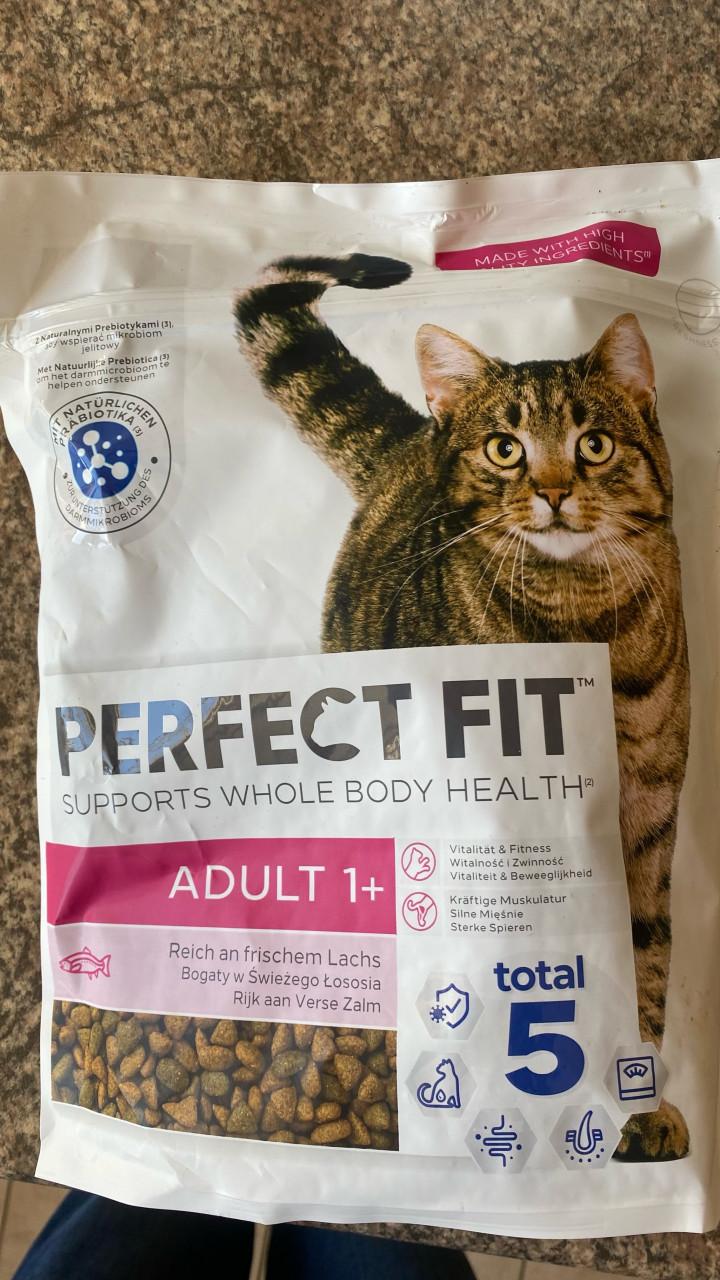 Katbrokken Perfect fit