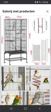 3 maanden oude grote vogelkooi