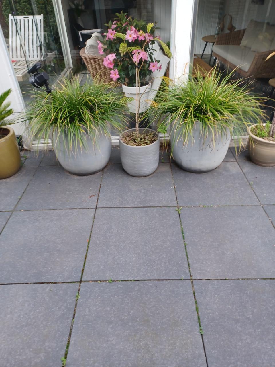 4 ronde stenen bloempotten 50 x50 cm