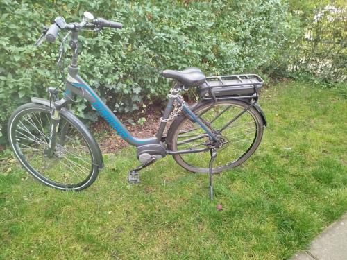 Diamond Liberty e-bike