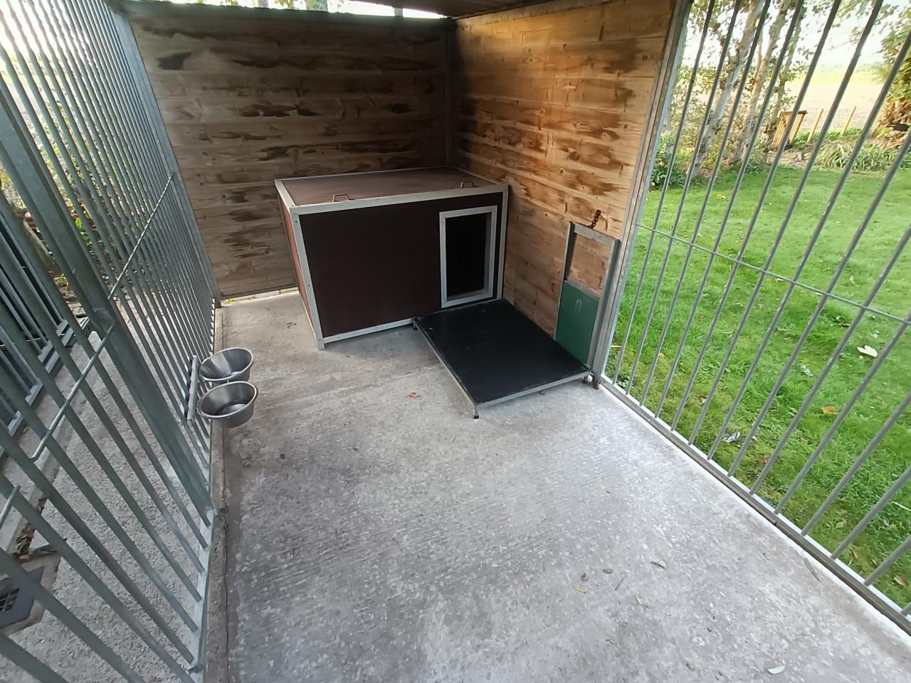 Hondenkennel compleet met nachthok