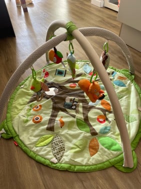 Skip hop kinderspeelkleed