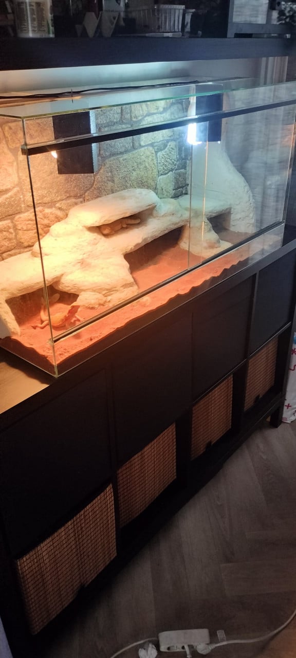Terrarium 100x40x50 gebruikt reptielen reptiel