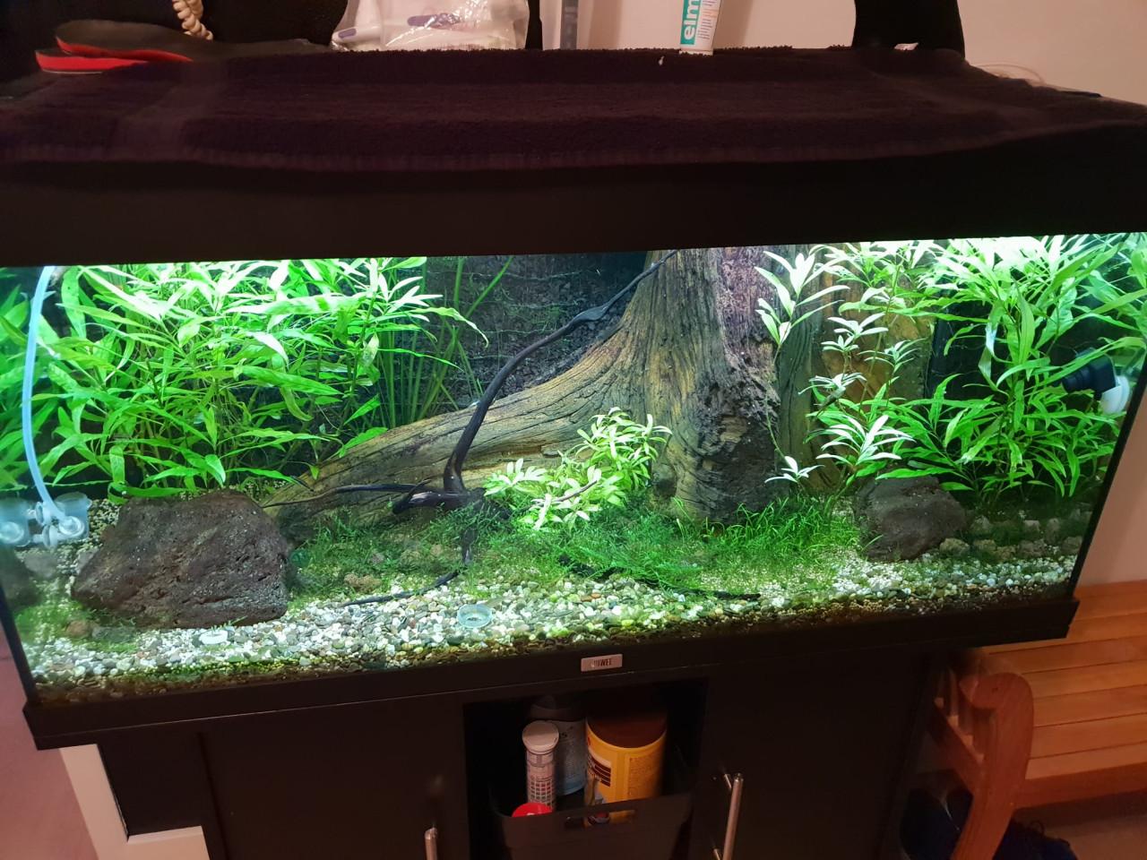 Aquarium met onderkast