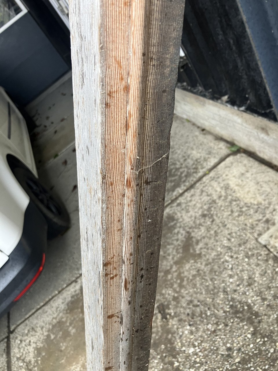 Red cedar balken