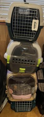 Diverse reismanden (kat)