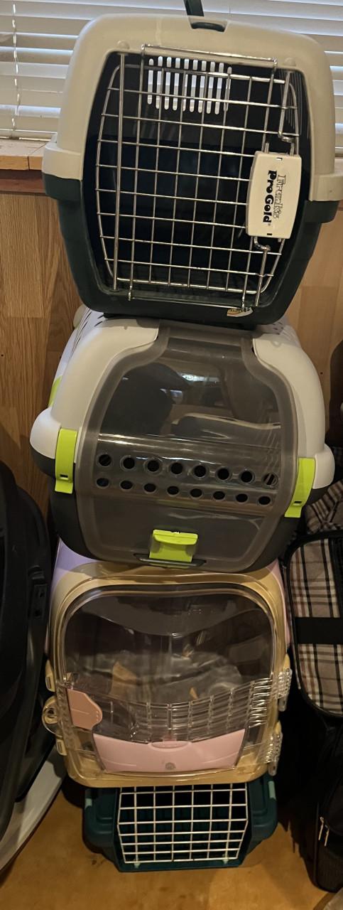 Diverse reismanden (kat)